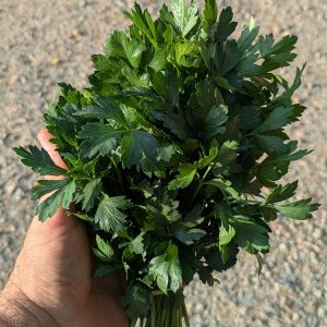 Persil plat