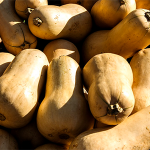 Butternut